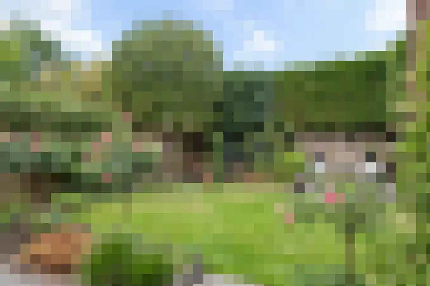 Domineesbergweg 81 Rhenen thumbnail 32