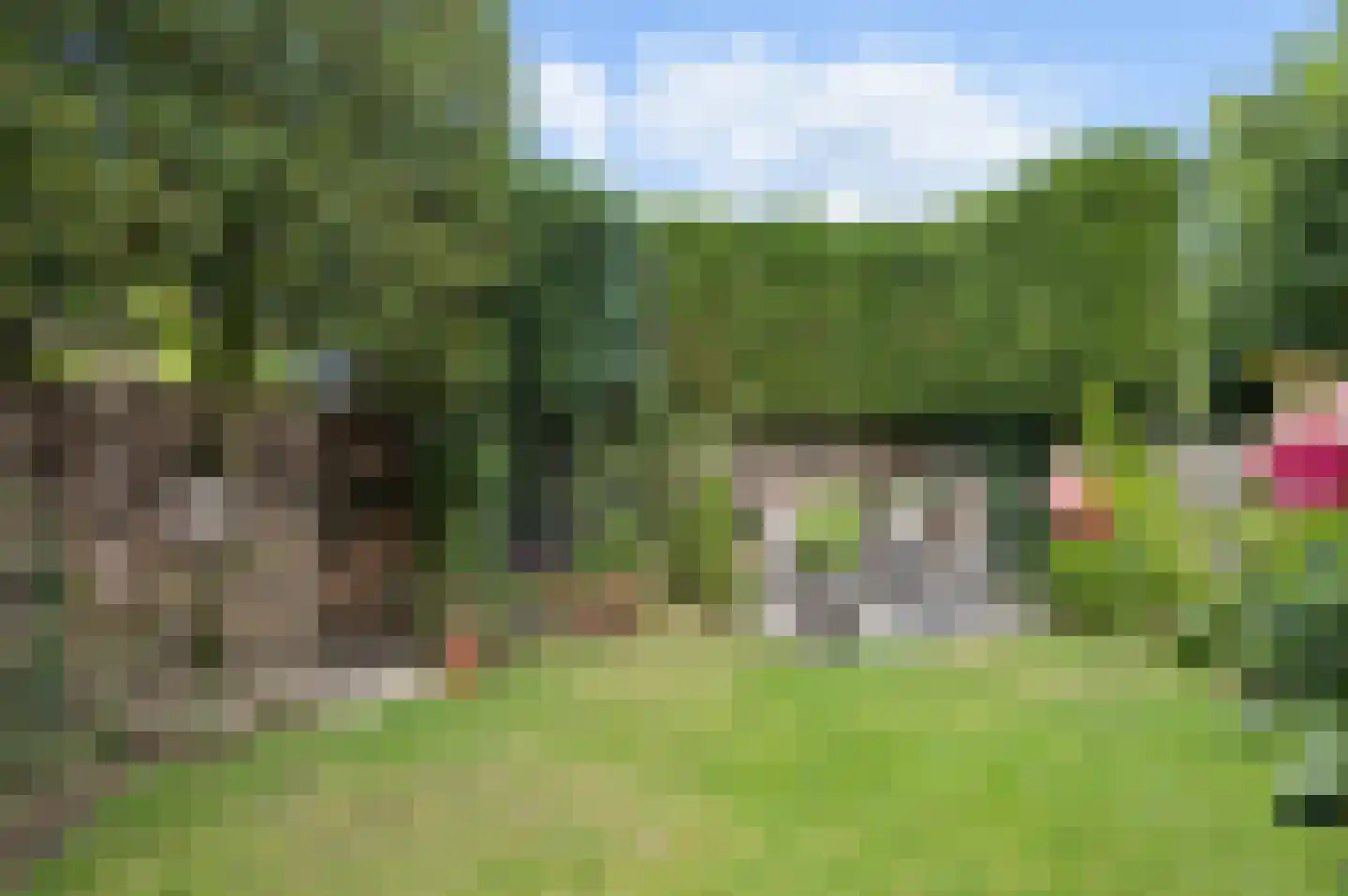 Domineesbergweg 81 Rhenen thumbnail 34