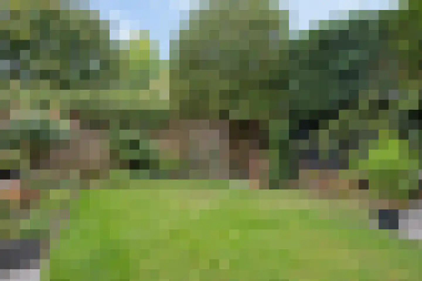 Domineesbergweg 81 Rhenen thumbnail 35