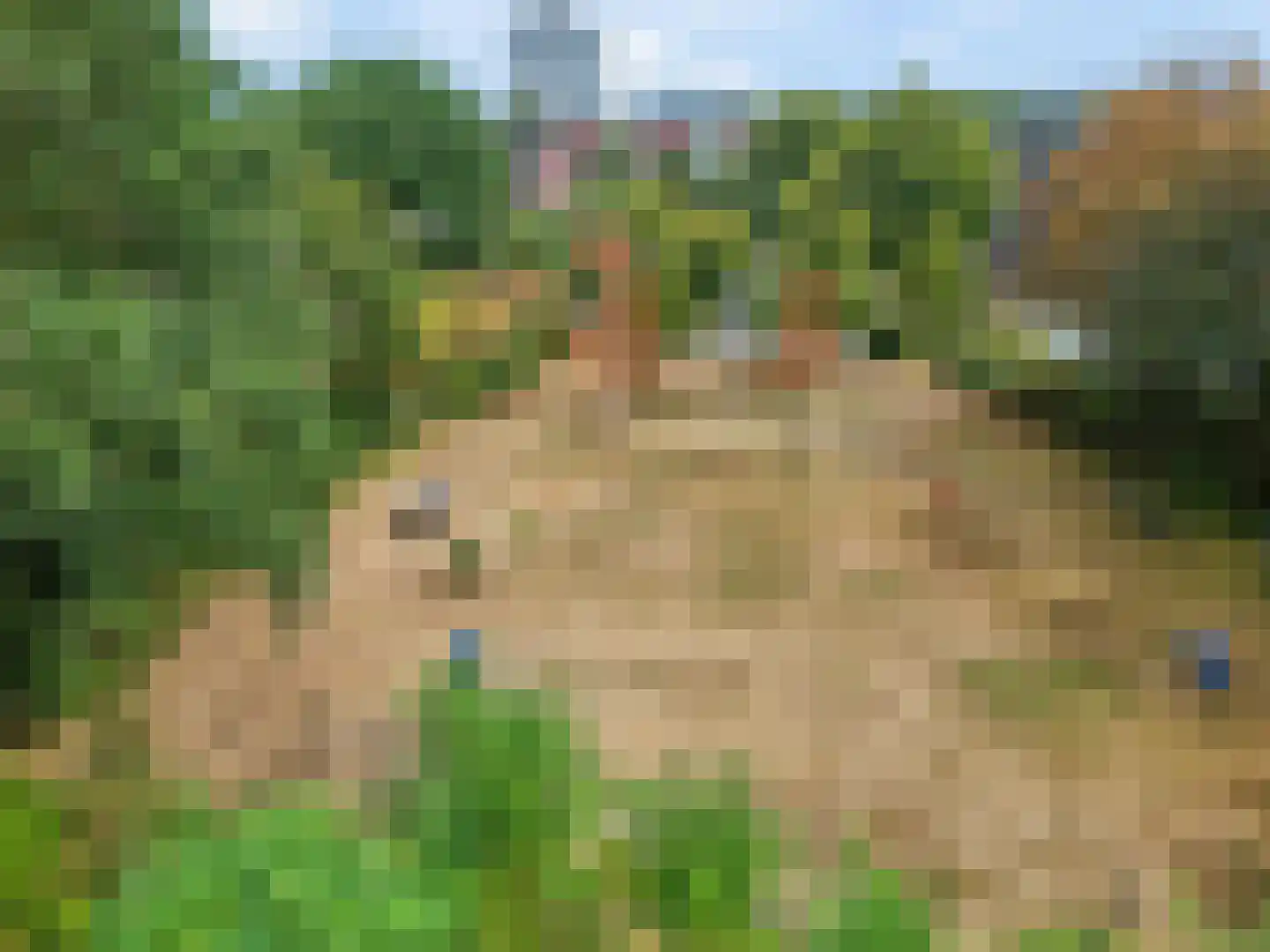 Domineesbergweg 81 Rhenen thumbnail 38