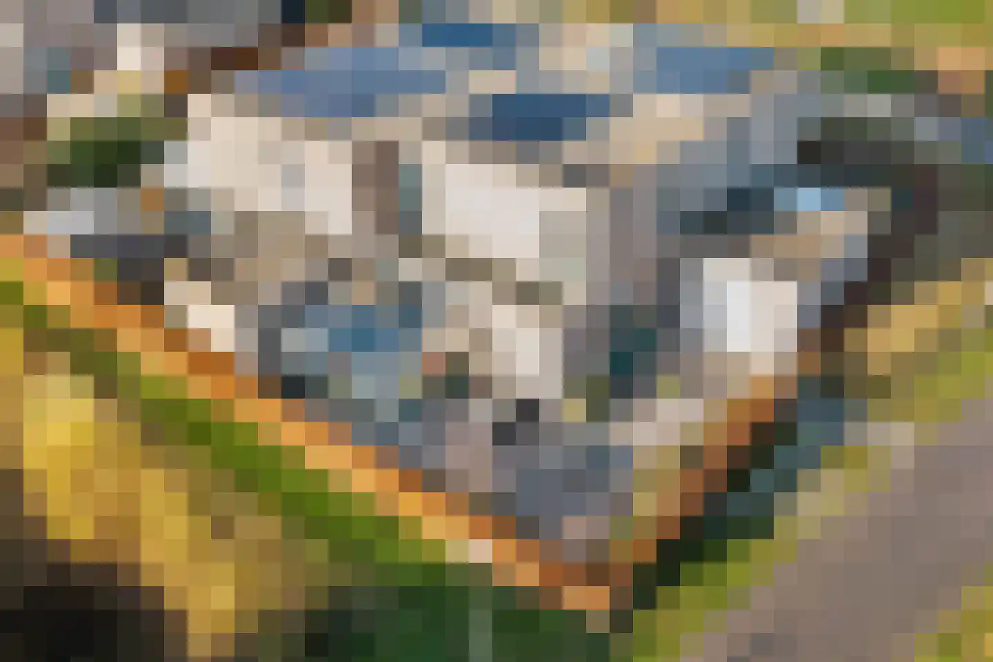 Domineesbosje 16 Burgh-Haamstede thumbnail 35