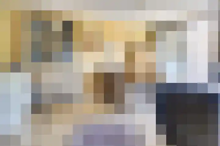 Domineesbosje 3 Burgh-Haamstede thumbnail 10