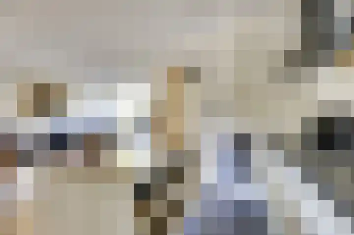 Domineesbosje 3 Burgh-Haamstede thumbnail 12