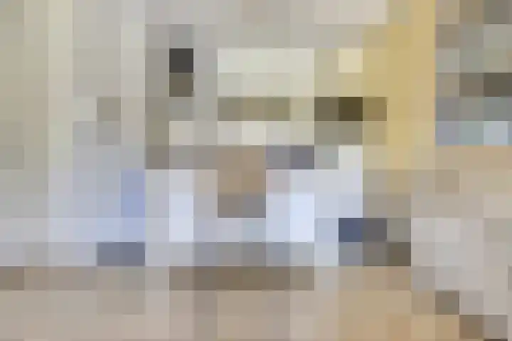 Domineesbosje 3 Burgh-Haamstede thumbnail 13