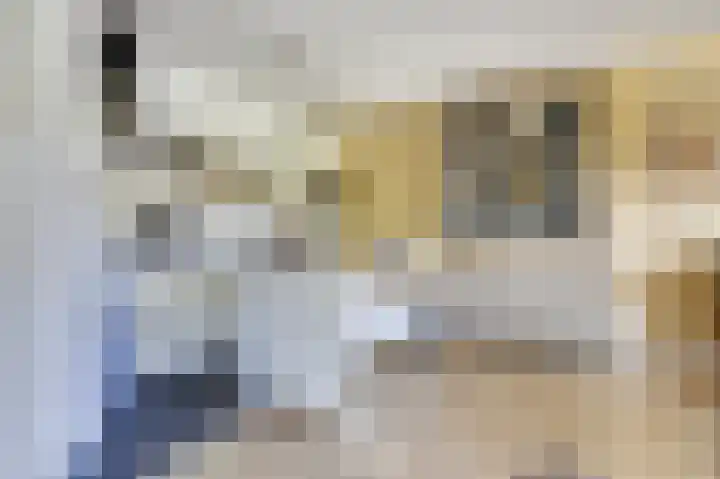 Domineesbosje 3 Burgh-Haamstede thumbnail 14