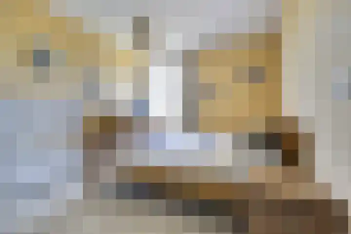Domineesbosje 3 Burgh-Haamstede thumbnail 15