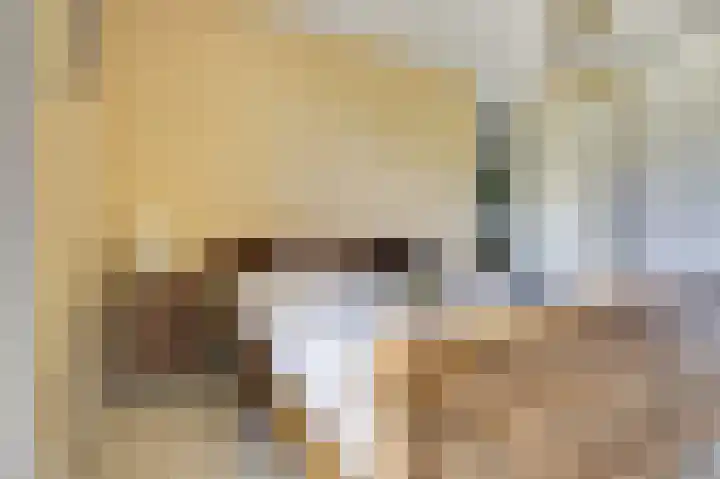 Domineesbosje 3 Burgh-Haamstede thumbnail 16