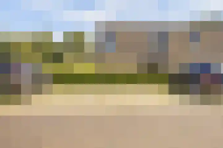 Domineesbosje 3 Burgh-Haamstede thumbnail 20