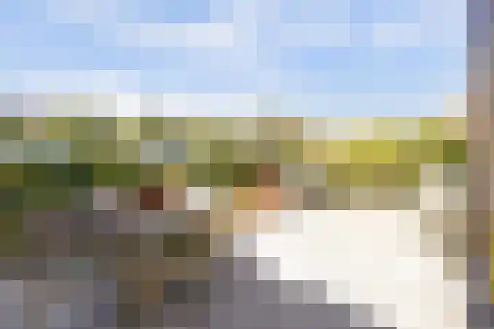 Domineesbosje 3 Burgh-Haamstede thumbnail 22