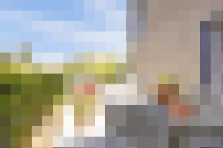 Domineesbosje 3 Burgh-Haamstede thumbnail 23