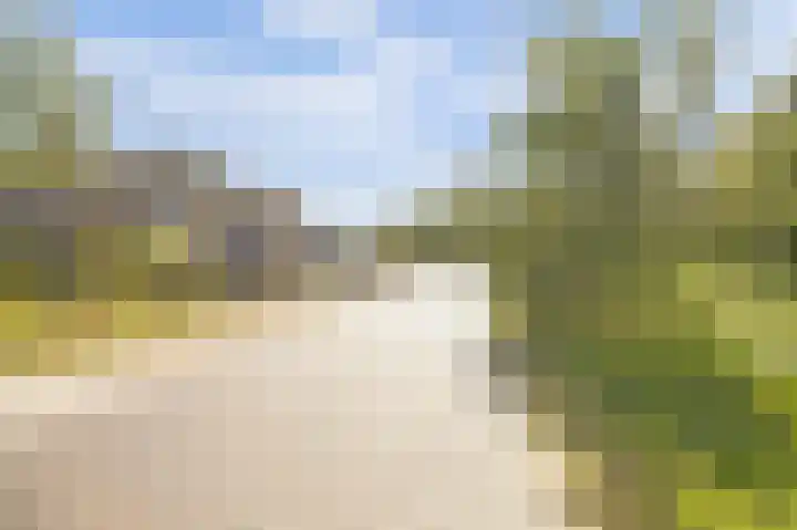 Domineesbosje 3 Burgh-Haamstede thumbnail 25