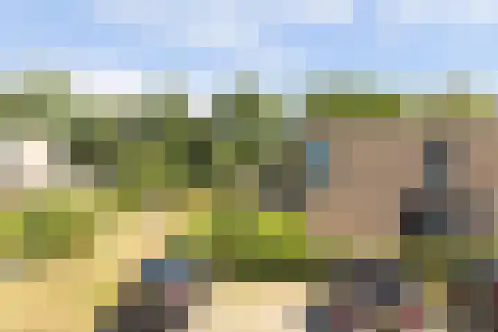 Domineesbosje 3 Burgh-Haamstede thumbnail 26