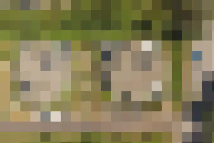 Domineesbosje 3 Burgh-Haamstede thumbnail 27