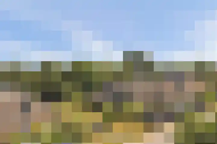 Domineesbosje 3 Burgh-Haamstede thumbnail 28