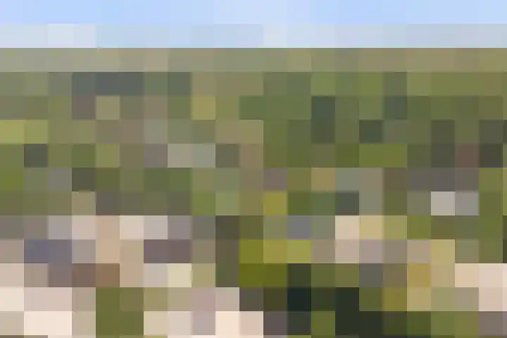 Domineesbosje 3 Burgh-Haamstede thumbnail 29