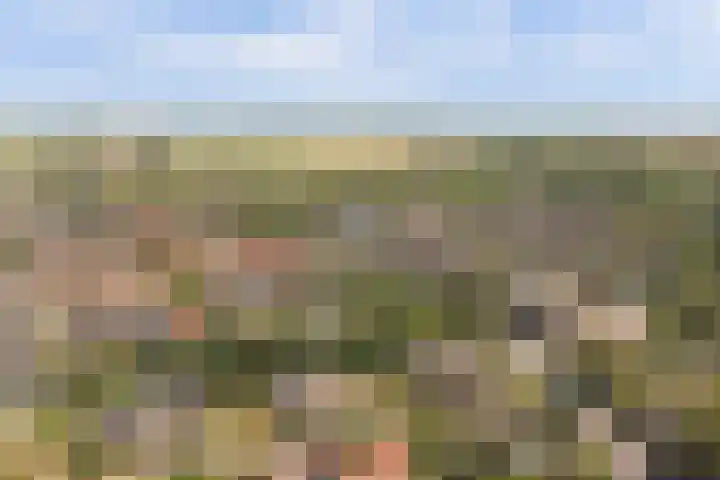 Domineesbosje 3 Burgh-Haamstede thumbnail 30