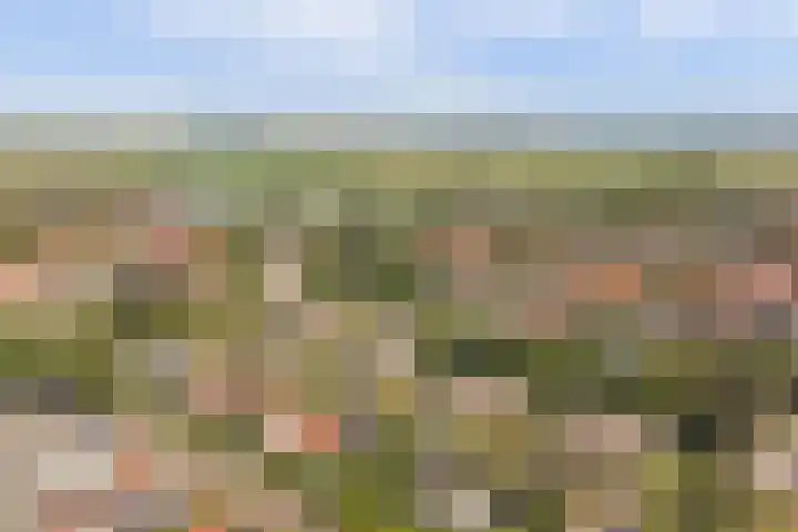 Domineesbosje 3 Burgh-Haamstede thumbnail 31