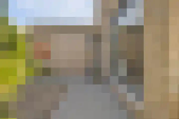Domineesbosje 3 Burgh-Haamstede thumbnail 5