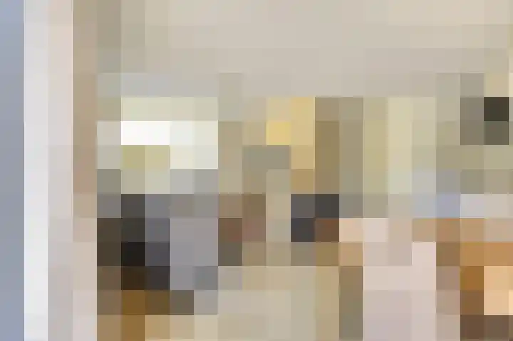 Domineesbosje 3 Burgh-Haamstede thumbnail 8