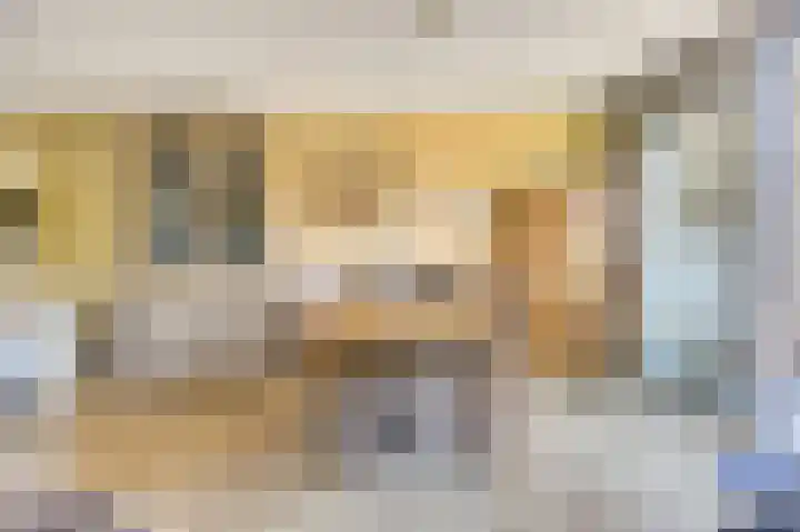Domineesbosje 3 Burgh-Haamstede thumbnail 9