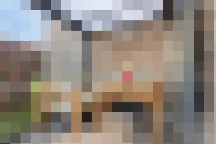 Domineesbosje 7 Burgh-Haamstede thumbnail 13