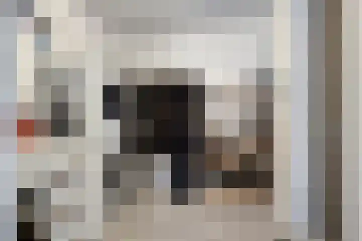 Domineesbosje 7 Burgh-Haamstede thumbnail 15