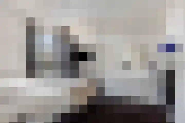 Domineesbosje 7 Burgh-Haamstede thumbnail 18
