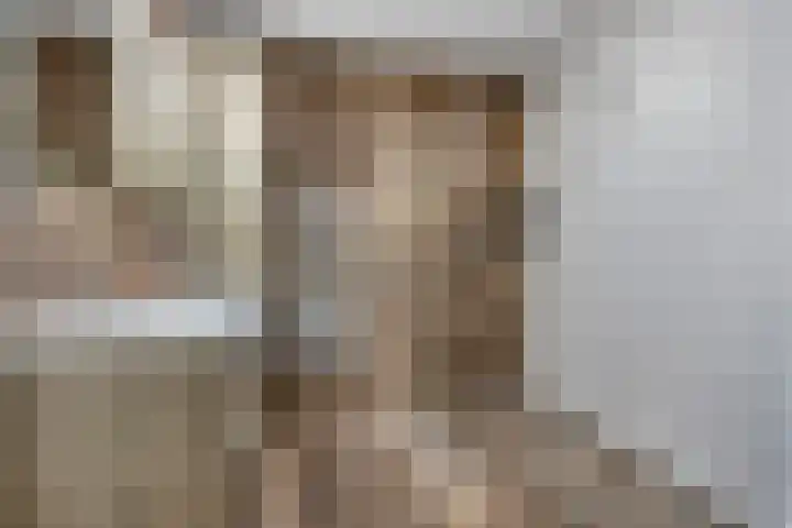 Domineesbosje 7 Burgh-Haamstede thumbnail 19