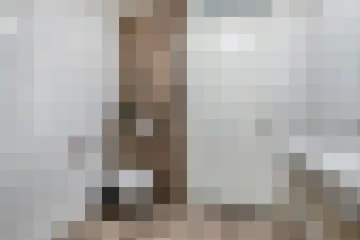 Domineesbosje 7 Burgh-Haamstede thumbnail 20