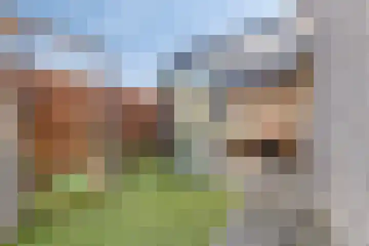 Domineesbosje 7 Burgh-Haamstede thumbnail 26