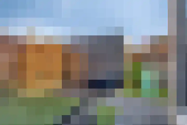 Domineesbosje 7 Burgh-Haamstede thumbnail 28