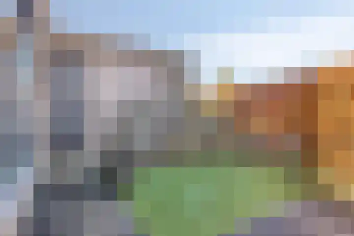 Domineesbosje 7 Burgh-Haamstede thumbnail 29