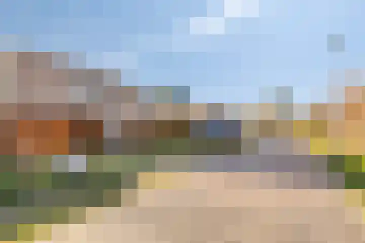 Domineesbosje 7 Burgh-Haamstede thumbnail 31