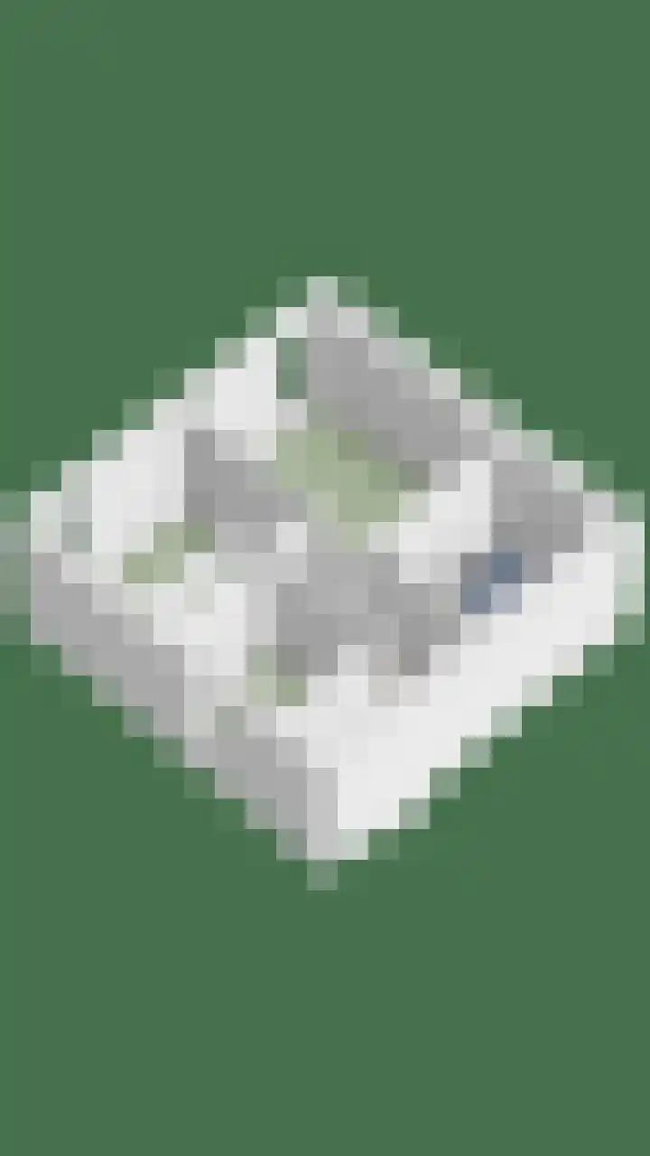 Domineesbosje 7 Burgh-Haamstede thumbnail 35