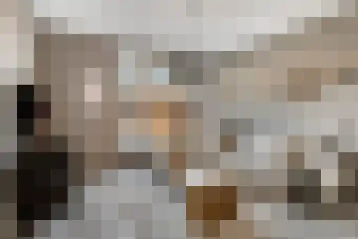 Domineesbosje 7 Burgh-Haamstede thumbnail 5
