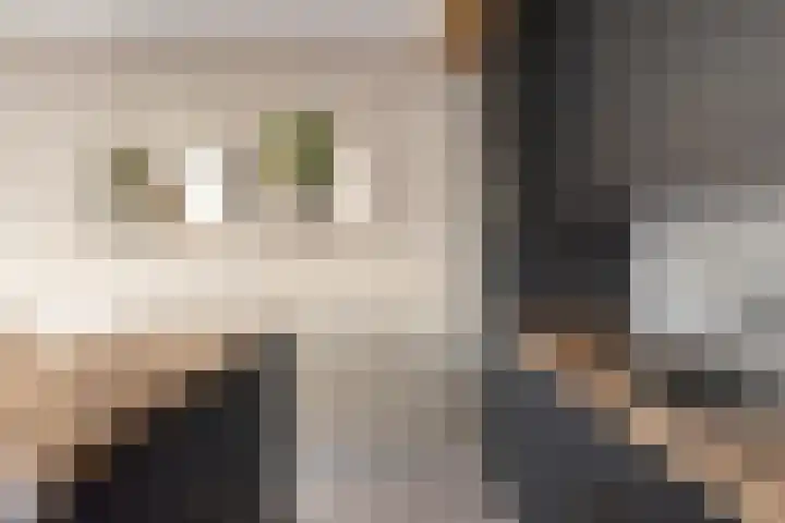 Domineesbosje 7 Burgh-Haamstede thumbnail 9