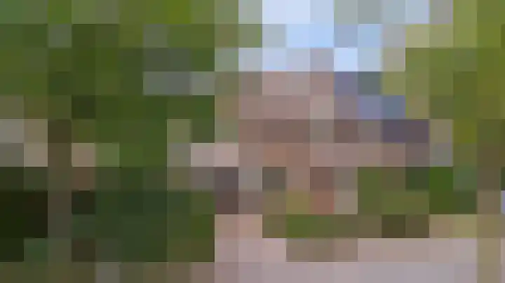 Domineeshof 10 Vessem