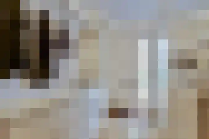 Domineeshof 10 Vessem thumbnail 10