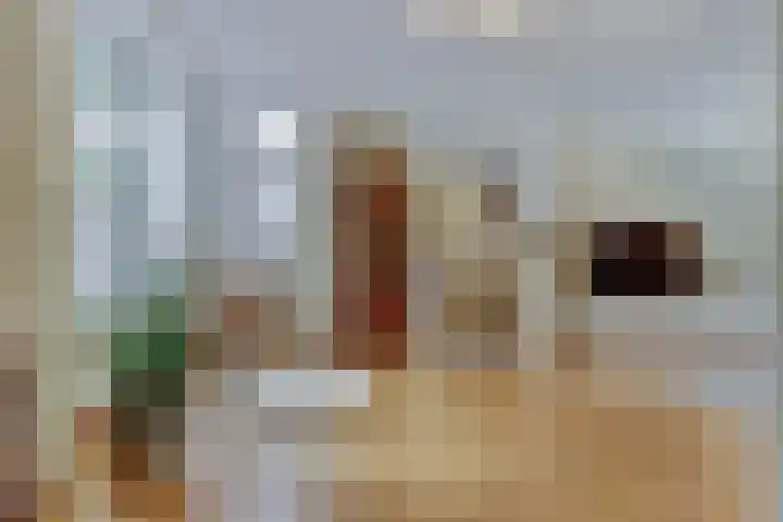 Domineeshof 10 Vessem thumbnail 12