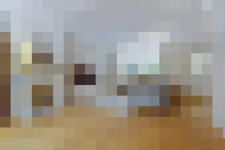 Domineeshof 10 Vessem thumbnail 14