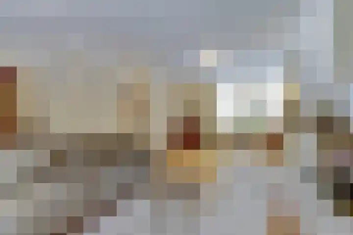 Domineeshof 10 Vessem thumbnail 15
