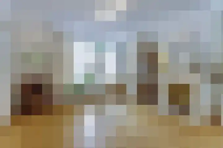 Domineeshof 10 Vessem thumbnail 16