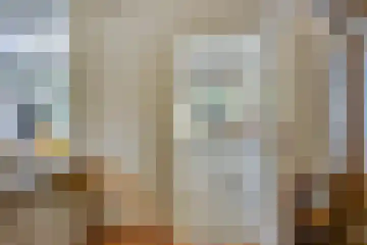 Domineeshof 10 Vessem thumbnail 17