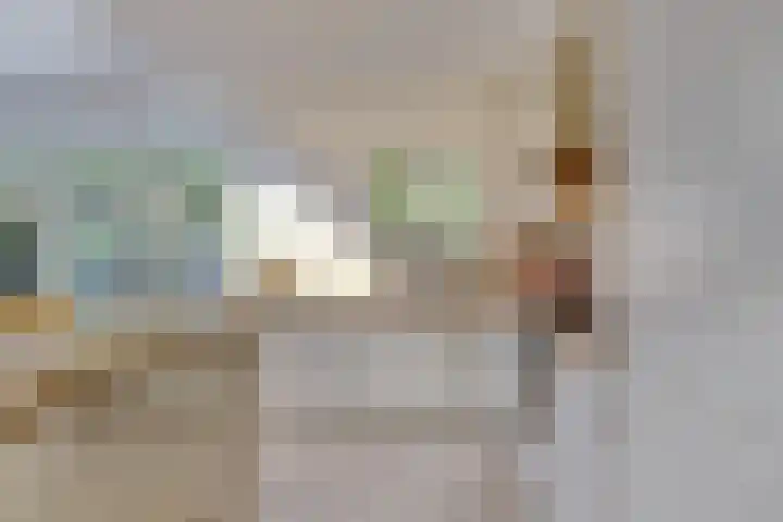 Domineeshof 10 Vessem thumbnail 18