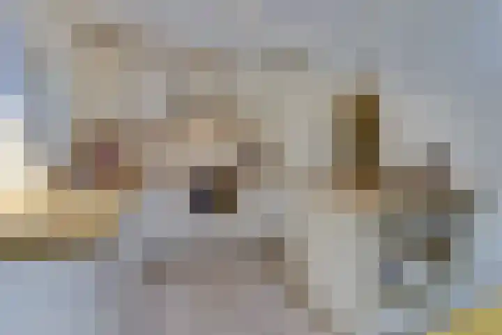 Domineeshof 10 Vessem thumbnail 19
