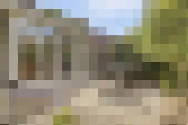 Domineeshof 10 Vessem foto 2