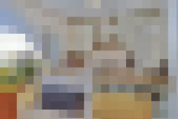 Domineeshof 10 Vessem thumbnail 20