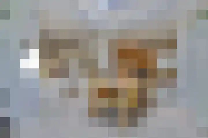 Domineeshof 10 Vessem thumbnail 21