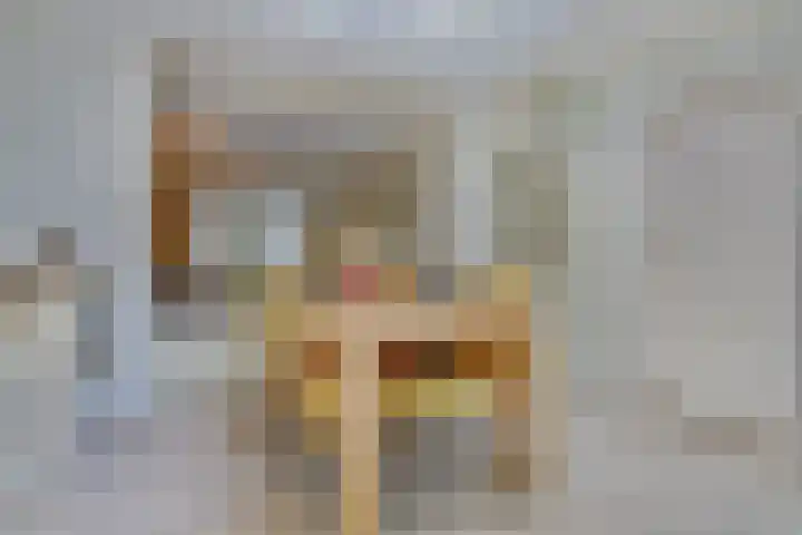 Domineeshof 10 Vessem thumbnail 22