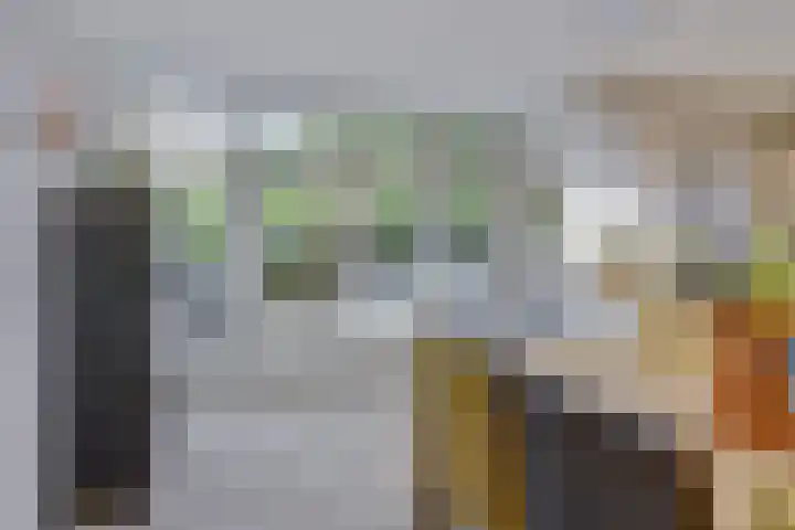Domineeshof 10 Vessem thumbnail 24
